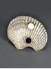Picture of Silver Ring Conch