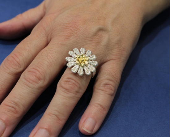 media.product.imagealternatetextformat.details