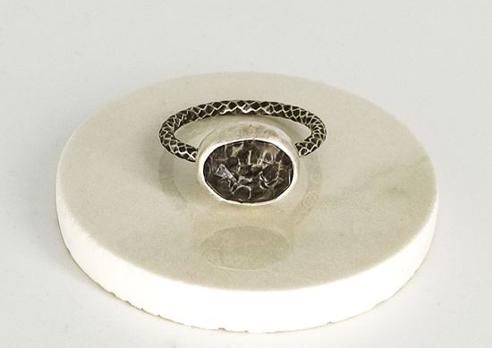 media.product.imagealternatetextformat.details